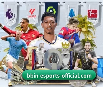 BBIN官网 APP