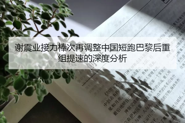 谢震业接力棒次再调整中国短跑巴黎后重组提速的深度分析