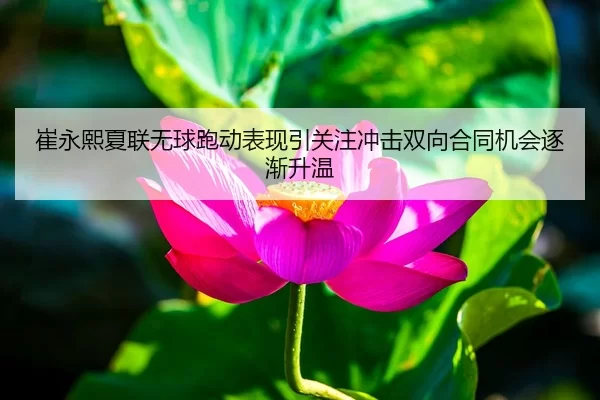 崔永熙夏联无球跑动表现引关注冲击双向合同机会逐渐升温