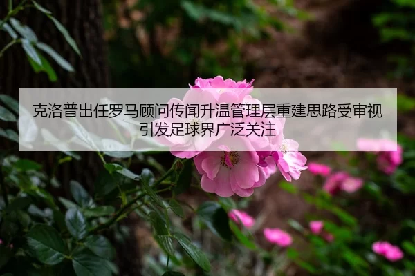 克洛普出任罗马顾问传闻升温管理层重建思路受审视引发足球界广泛关注