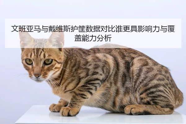 wen-ban-ya-ma-yu-dai-wei-si-hu-kuang-shu-ju-dui-bi-shui-geng-ju-ying-xiang-li-yu-fu-gai-neng-li-fen-xi-2-335.jpg