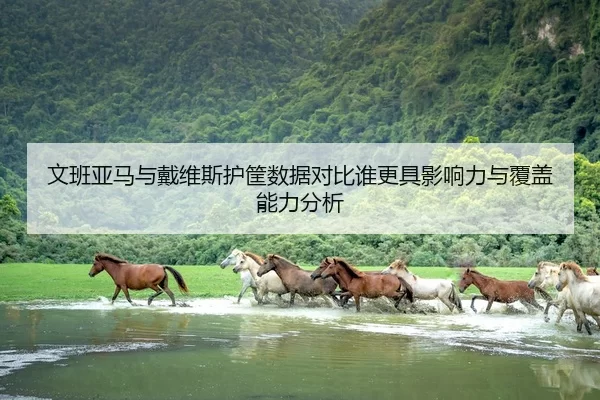 文班亚马与戴维斯护筐数据对比谁更具影响力与覆盖能力分析
