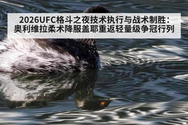 2026UFC格斗之夜技术执行与战术制胜：奥利维拉柔术降服盖耶重返轻量级争冠行列